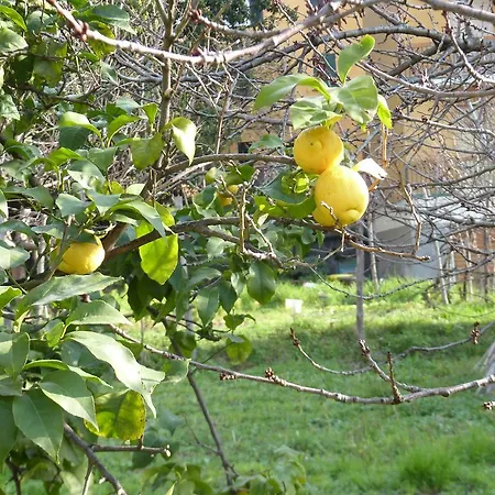 Ca' Da Valeria One * 基亚瓦里