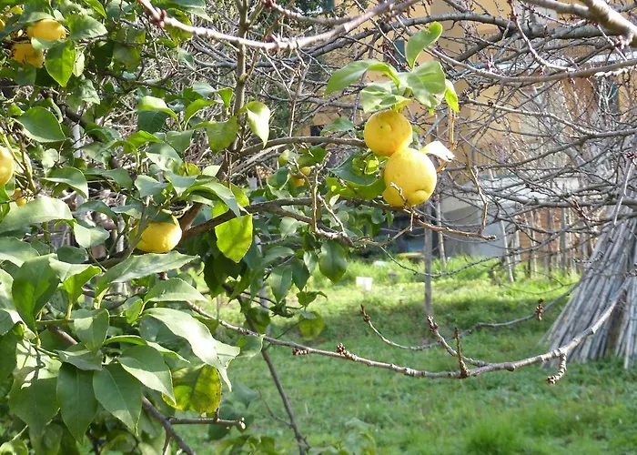 Ca' Da Valeria One * Chiavari